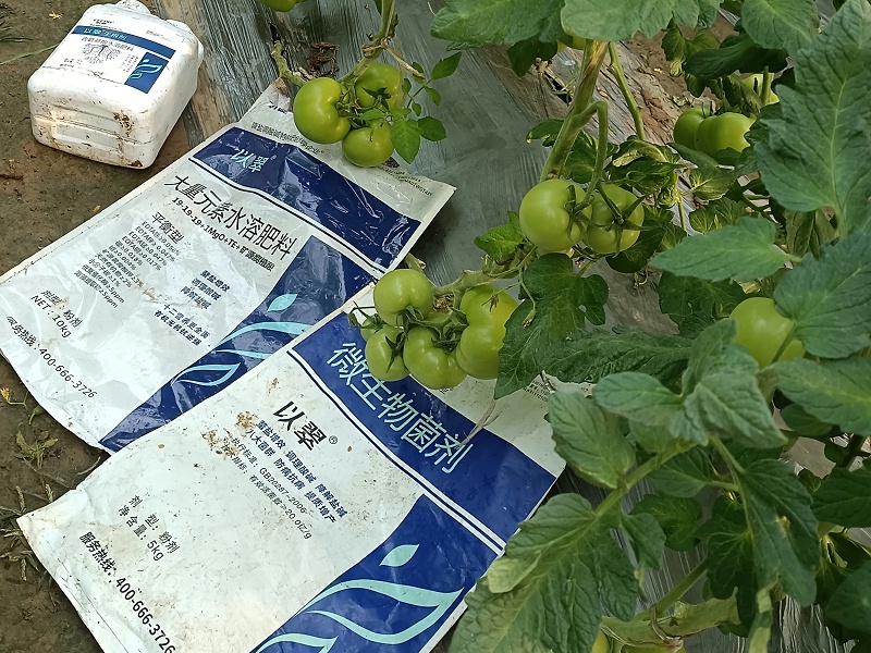 土壤板结-用以翠水溶肥