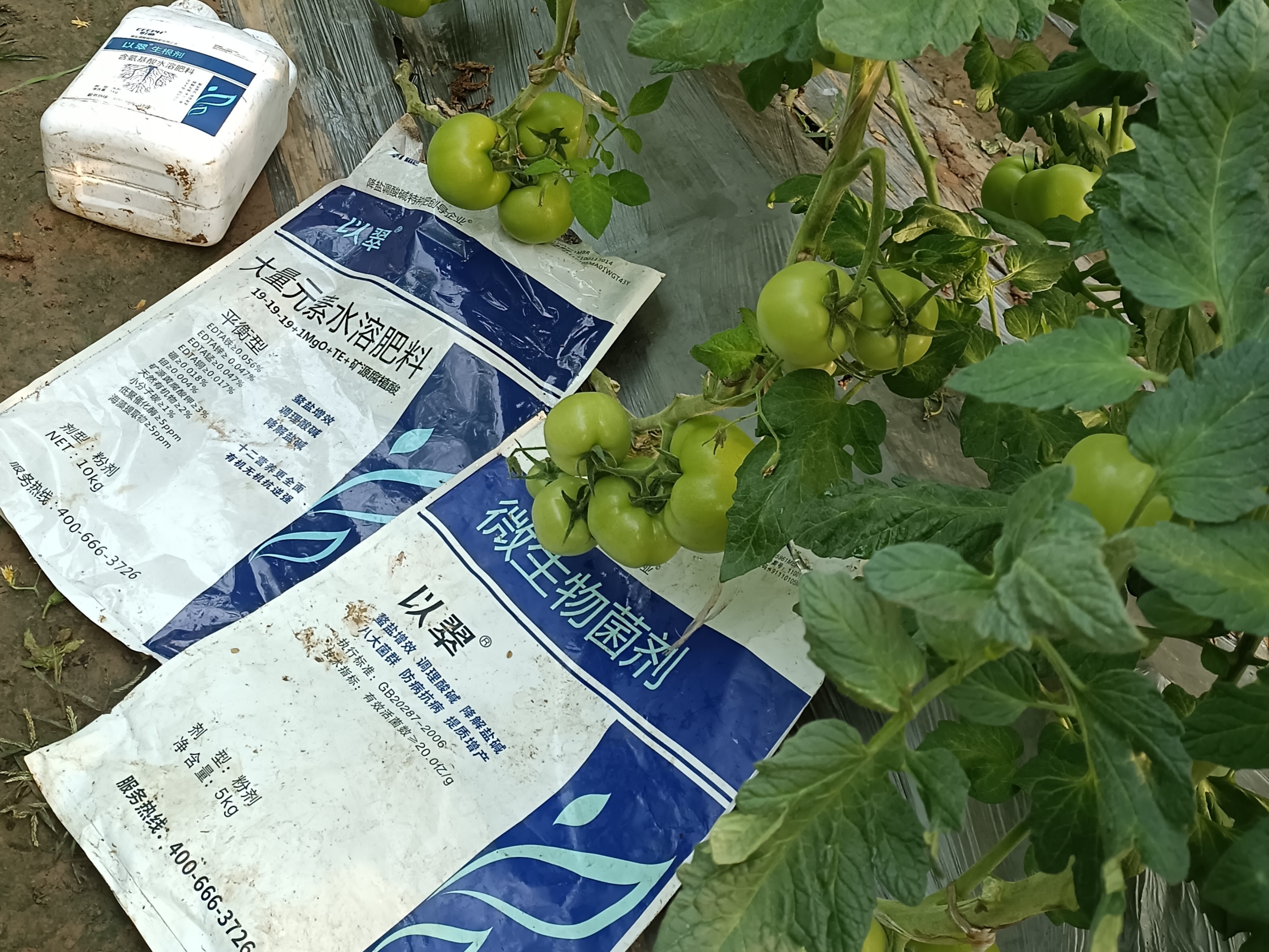 土壤板结，作物减产，如何解决？