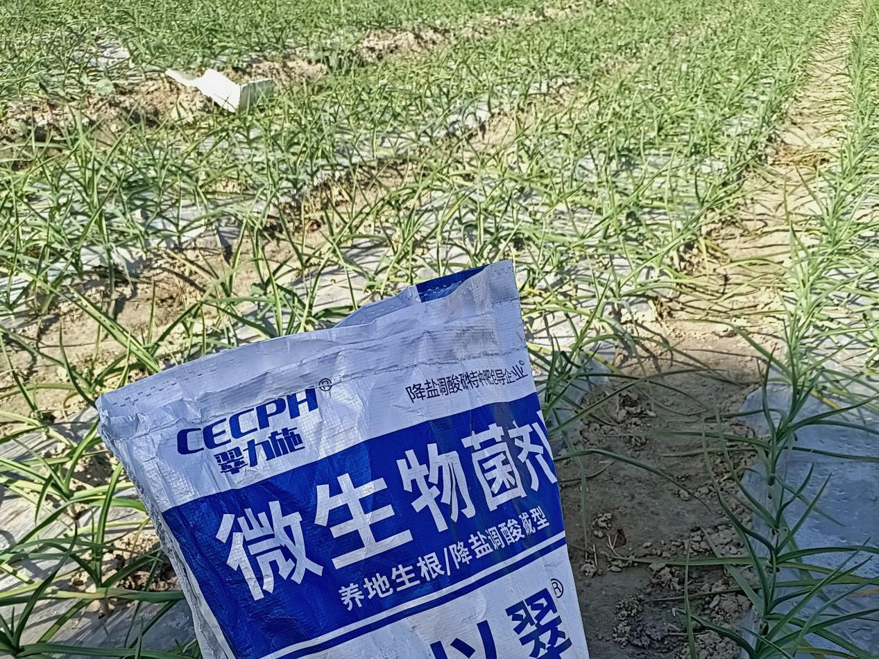 微生物菌剂，你不知道的那些事！