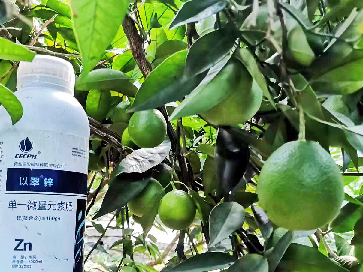 锌肥的作用及使用方法