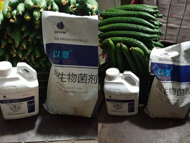 水溶肥怎么选？张大叔这样说