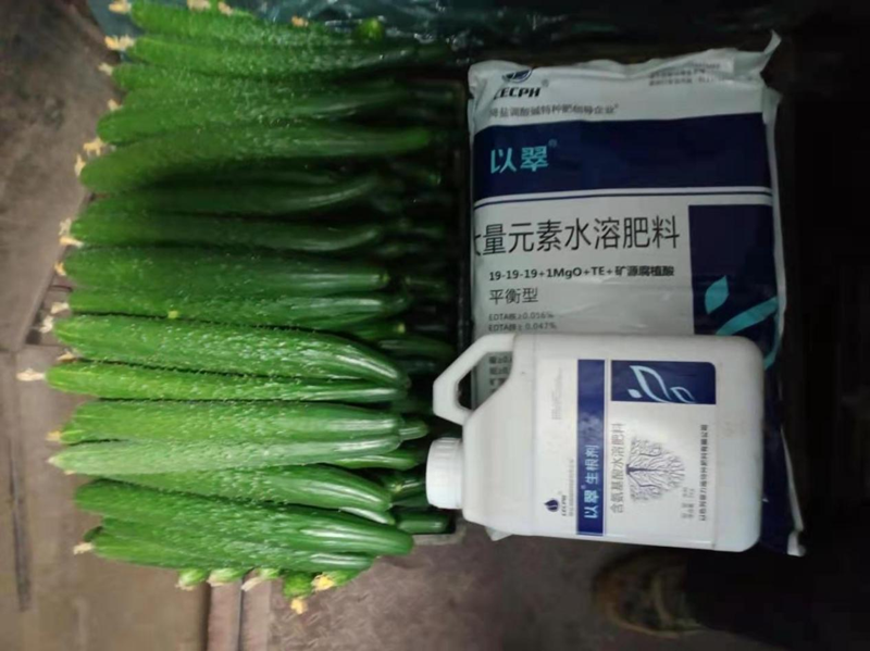 生根剂-黄瓜用以翠水溶肥