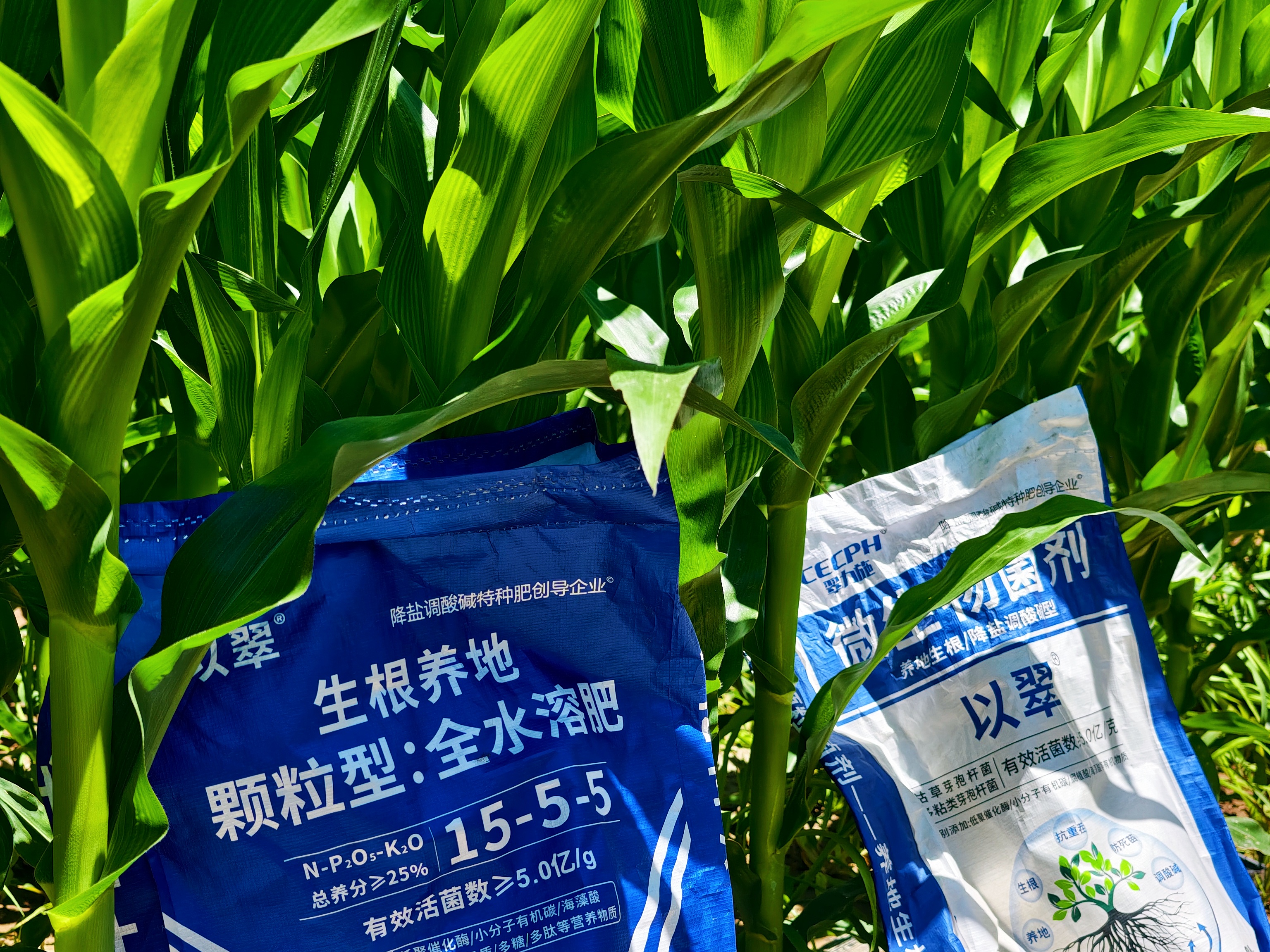 农业种植想要提高收益，思路一定要转变