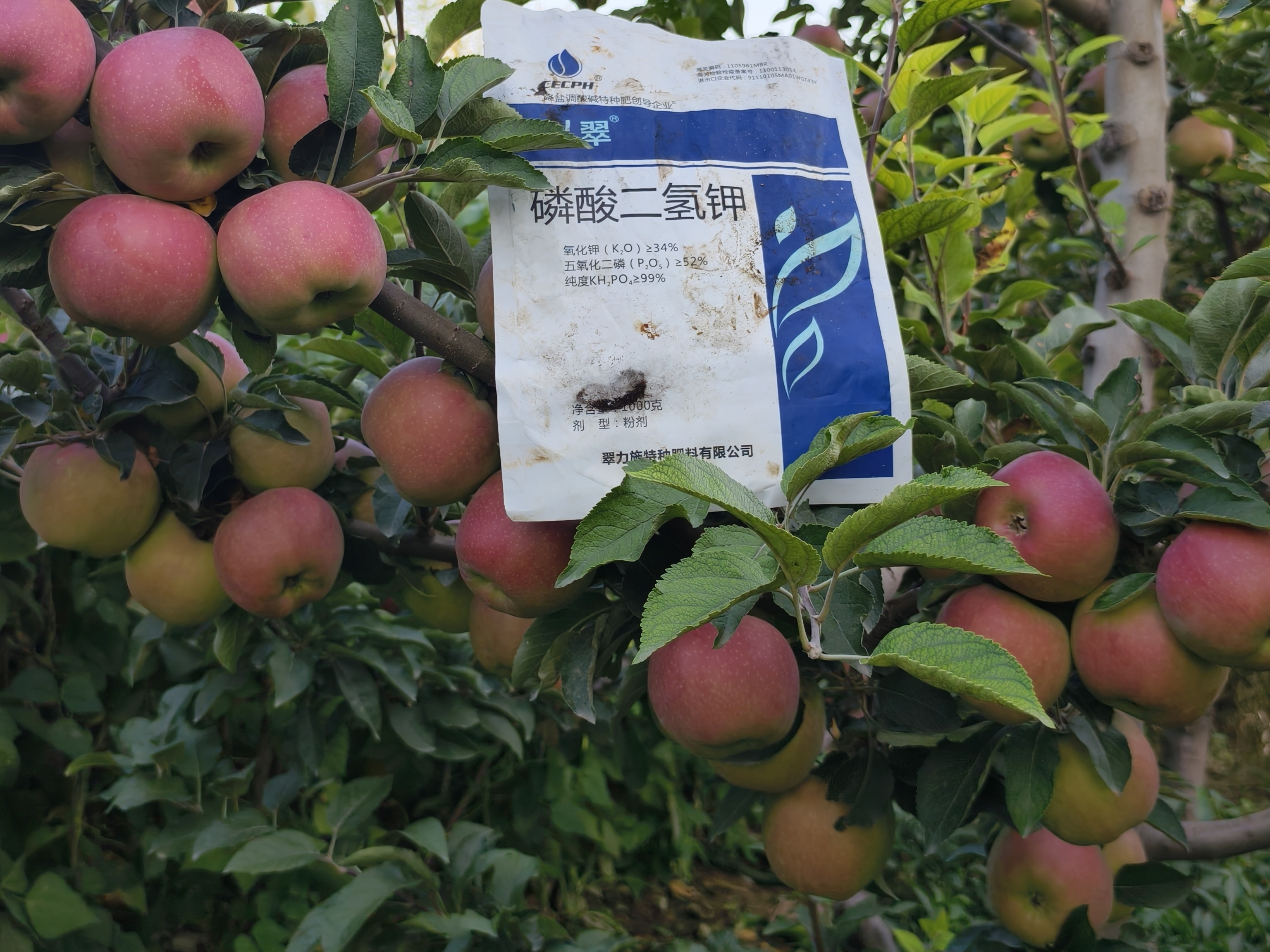 磷酸二氢钾如何分辨好坏？