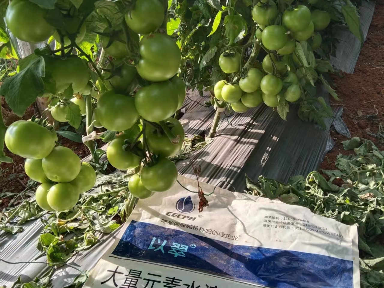 水溶肥如何挑选？避开这些误区