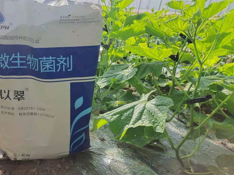 微生物菌剂多少钱一袋？价格受什么影响