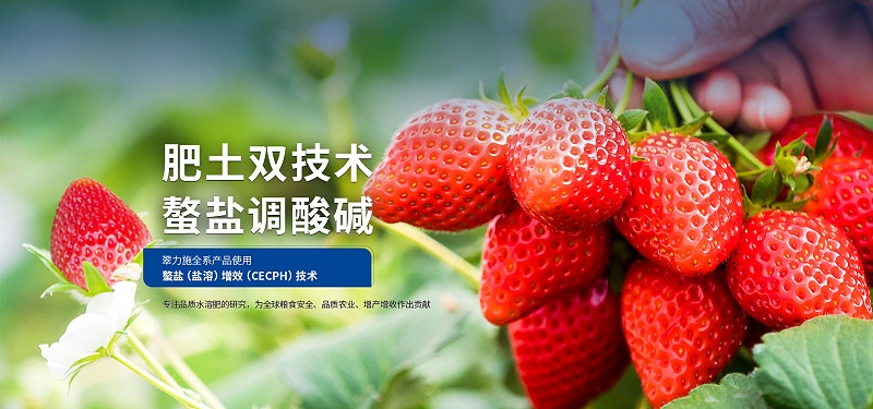 pc-首页广告02