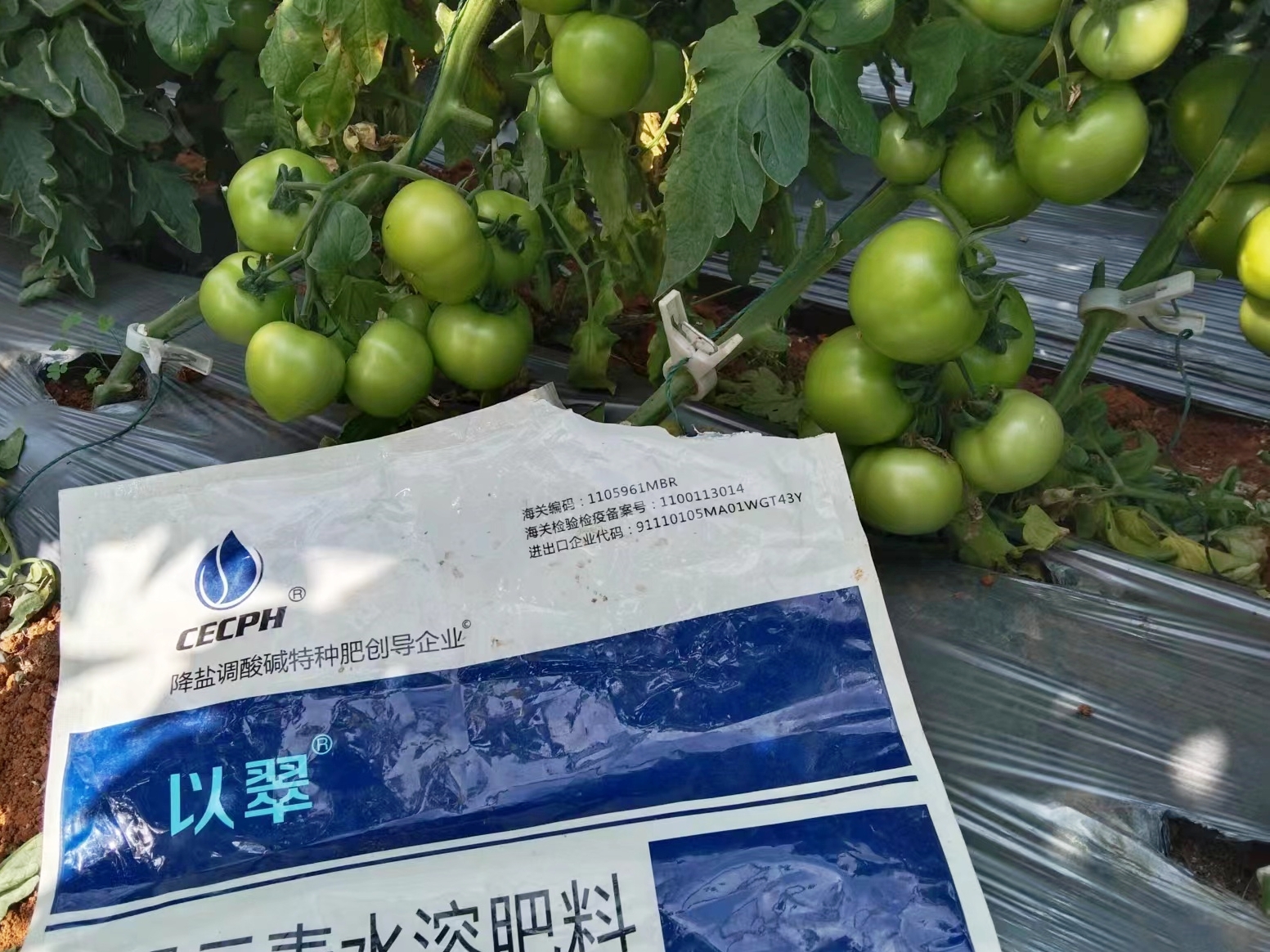 蔬菜用什么肥料好？冬季如何管理？
