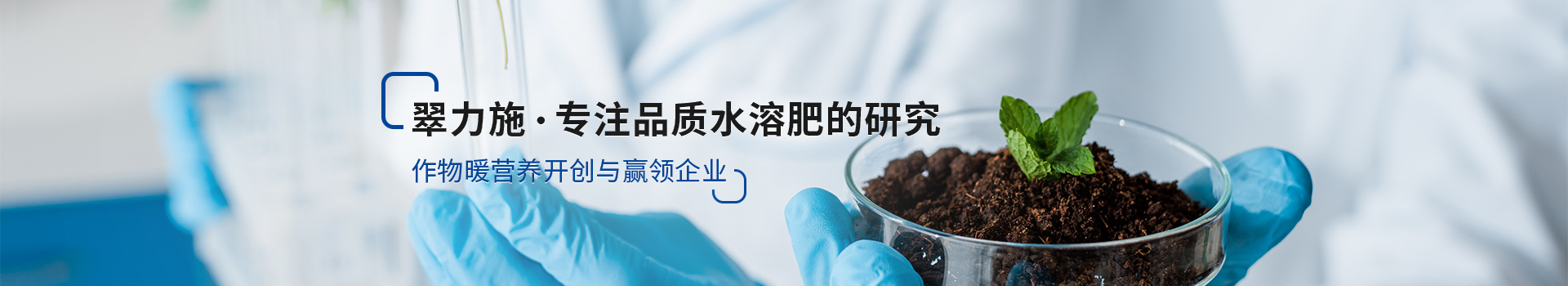 翠力施，专注品质水溶肥的研究