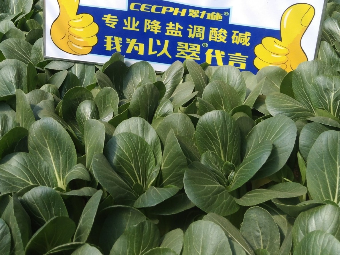 翠力施水溶肥：解决农业种植难题