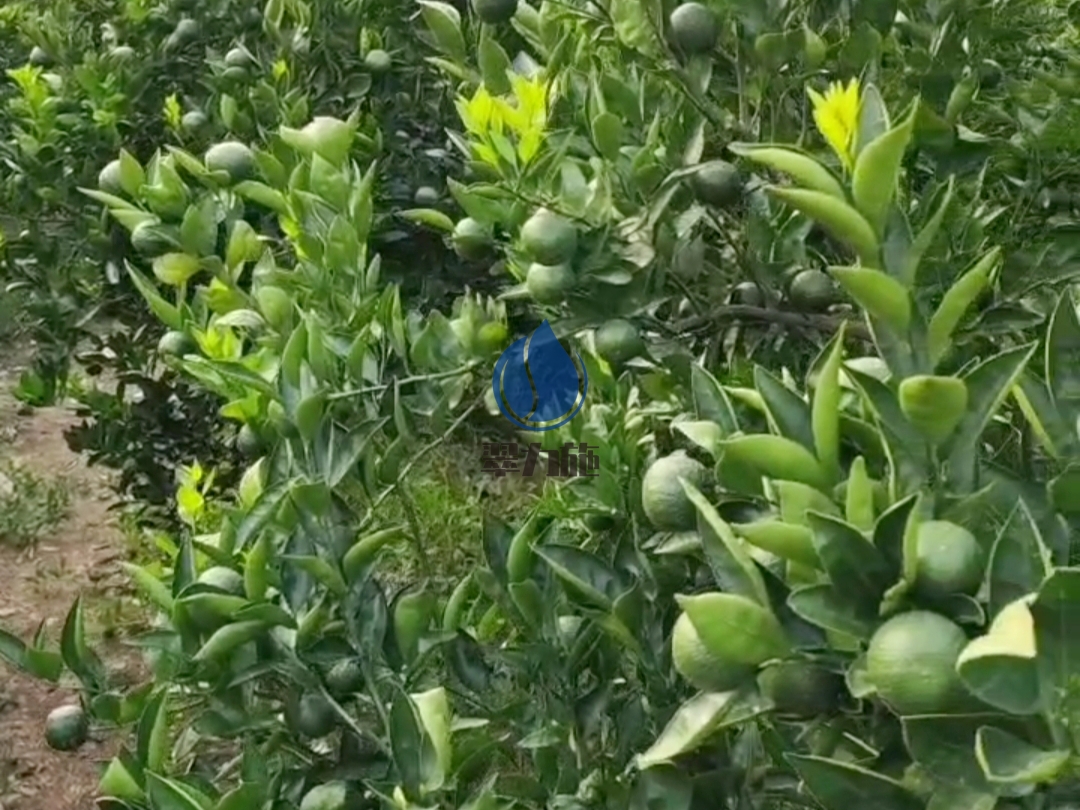 微生物菌剂在种植中使用有什么效果？