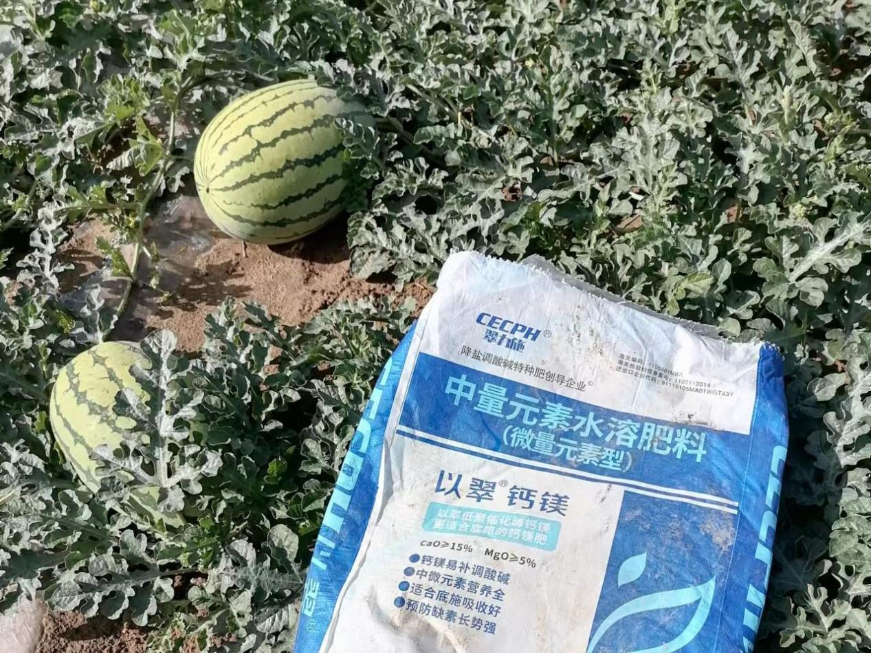 西瓜用什么肥料又大又甜？经验分享