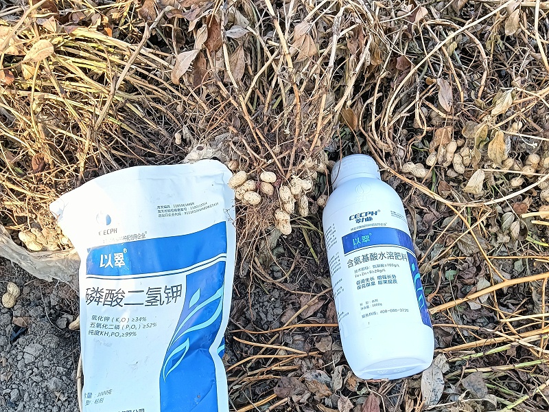 花生什么时候施肥最佳-以翠花生效果