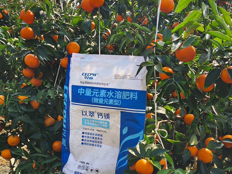 果树补钙用什么钙肥好-以翠沃柑效果